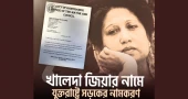Michigan’s Hamtramck city renames street in honour of Khaleda Zia