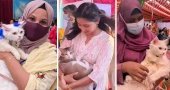 'Cat Show' at BAU marks World Pet Day