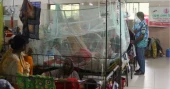 3 more die of dengue, 512 hospitalised