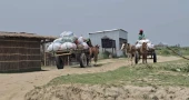 Wheels of Survival: How horse carts, motorbikes drive life in Faridpur’s emerging charlands