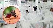 Dengue 2026: Dhaka South the worst-hit municipality with 39 deaths