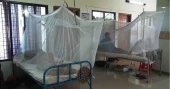Dengue: 46 patients hospitalised in 24hrs