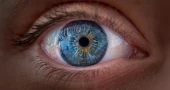 Vitamin A discovery challenges decades-old understanding of how human vision develops