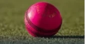 To counter bad light pause in Test, ICC to trial pink ball