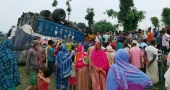 Farmer killed as truck overturns into chilli field in Lalmonirhat