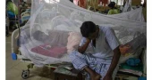 One dies of dengue; 16 hospitalised