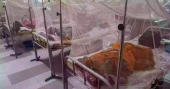 Dengue in Bangladesh shifts from seasonal outbreak to year-round threat: Experts