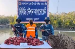100 kg of venison seized in Sundarbans