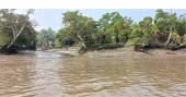 Sundarbans climate project to close early amid UK aid cuts