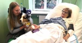 Poland considers allowing pet visits in hospice wards after cancer patient's story