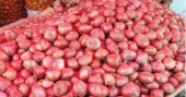 Govt to allow limited onion imports to stabilise market