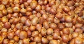 Onion prices jump to Tk 150 per kg in two days