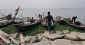 Govt bans fishing in Padma-Meghna for 2 months to protect jatka
