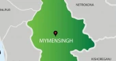 Imam, daughter die from insect stings in Mymensingh