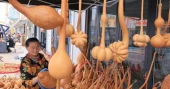 Traditional gourd industry thrives in China’s Liaocheng