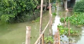 Jamuna swelling again, flowing over red mark in Sirajganj