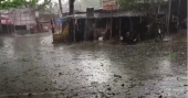 Sudden nor’wester, hailstorm in Natore threaten crops