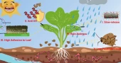 Chinese scientists develop nanoparticles to improve pesticide efficiency