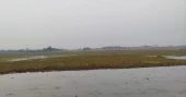 2 wetlands in Rajshahi declared ‘Wetland-Dependent Wildlife Sanctuaries’