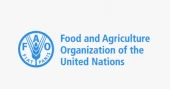 World food prices remain steady in August: FAO