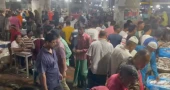 22-day ban on Hilsa: Nearly 100 tonnes of hilsa sold overnight in Faridpur