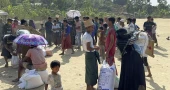 World Refugee Day: UNHCR urges stronger global support for 42 million displaced people