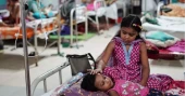Dengue claims 7 more lives in 24 hrs; 1,373 patients hospitalised