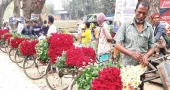 Flowers worth Tk 100 crore expected to be sold in Jashore this season