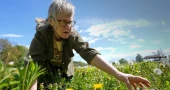 Foraging revival: Wild food enthusiasts rediscover nature