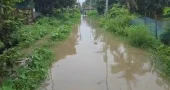 Residents suffer as heavy downpour submerges Cumilla city