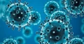 Govt issues 11-point directives to prevent spread of Covid-19