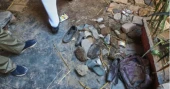 Pakistan orders school safety checks after roof collapse kills 35