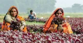 Women farmers seek recognition, equal access at Dhaka seminar