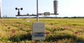 Digital technology and smart machines reshape farming in China's northeast granary