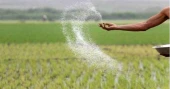 Purchase body clears proposals for Tk 704.7 cr fertiliser, sulphur imports