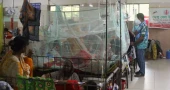 Dengue: Year’s death toll crosses 100