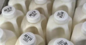 Dozens were sickened with salmonella after drinking raw milk from a California farm