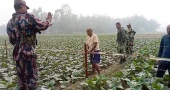 BSF ‘attempts to strengthen barbed wire fence’ with bamboo in Lalmonirhat border