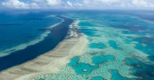 Climate crisis driving divers to restore Great Barrier Reef: Australian Study