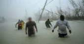 $1 trillion needed in climate cash for developing nations, Experts say at COP29