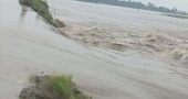 Breached embankments inundate villages, fish enclosures, crop fields in Khulna