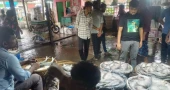 Hilsa prices remain high in Chandpur despite peak season, supply still low