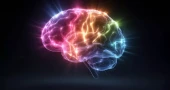 Study links higher vitamin C levels to better brain health in older adults