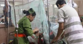 Dengue death toll crosses 200 in Bangladesh this year