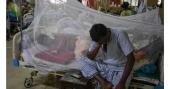 Dengue: 31 more patients hospitalised in 24hrs