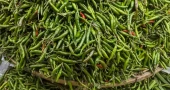 Green chili prices soar in Dhaka as rains squeeze supply