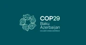 Will COP29 deliver on climate finance promises for vulnerable nations?