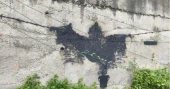 HOBEKI?’s first international Subodh graffiti disappears from Sikkim after 5 days