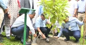 PM Tarique plants tree, releases fish marking BNP founding anniversary