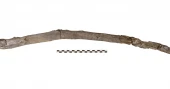 Scientists find earliest wooden tools yet at Greek excavation
